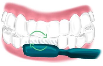 Técnicas De Cepillado Dental-Cepillado Dental Ideal – Hr-dental.com